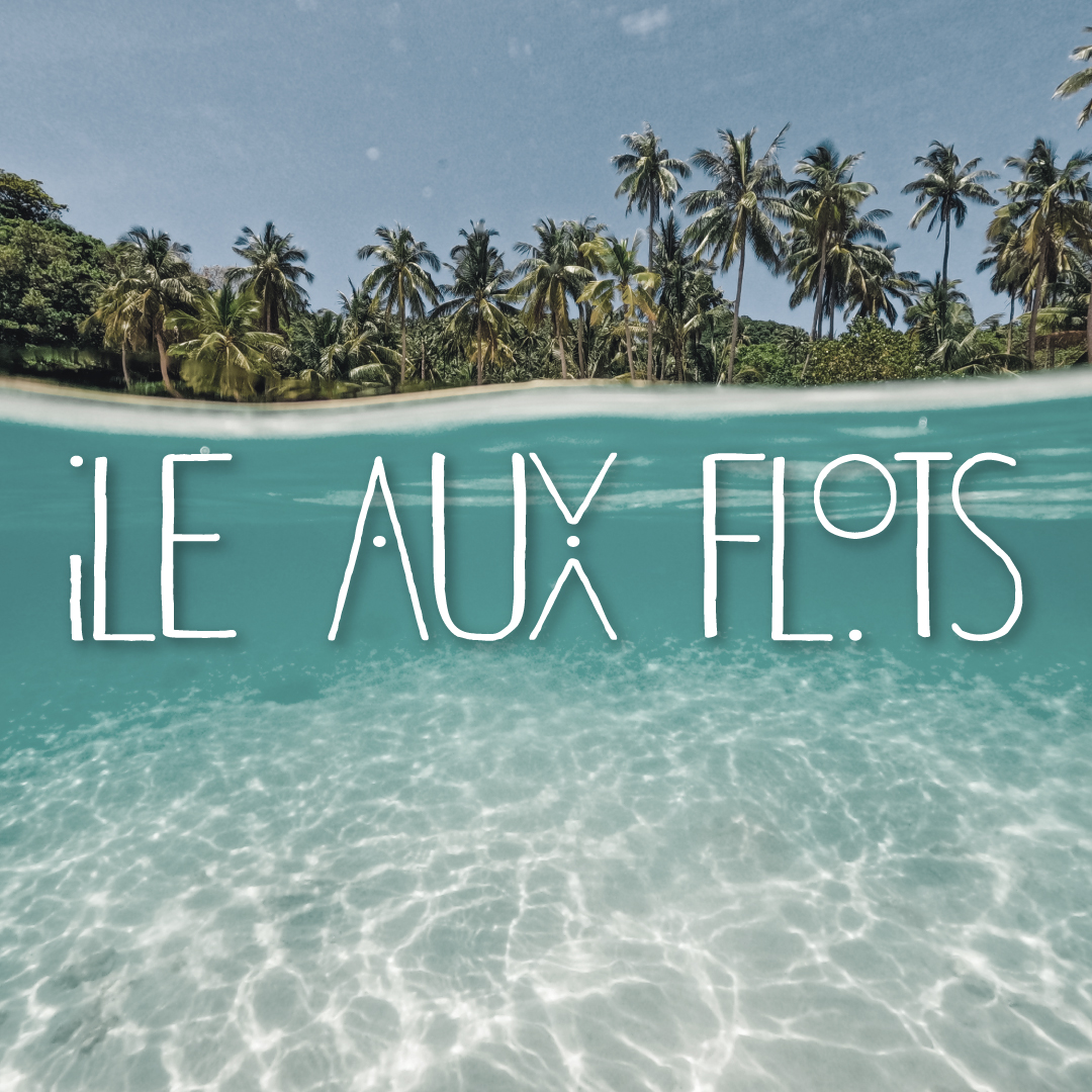Projet Île aux Flots