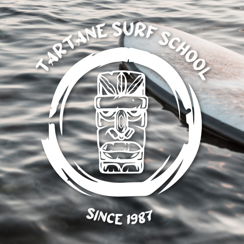 Projet Tartane surf school